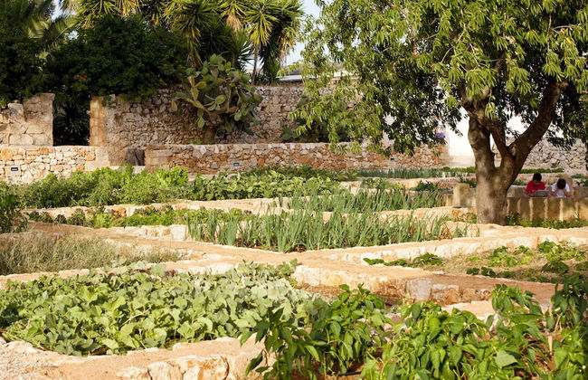 Masseria Gianferrante - Foto 47