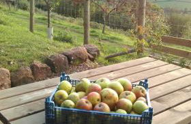 Top Barn Wales - Photo 26