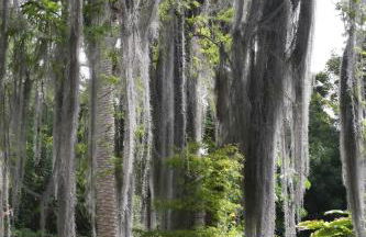 SISSI BOUTIQUE - THE TERRACE BETWEEN OCEAN AND TEIDE - Foto 51