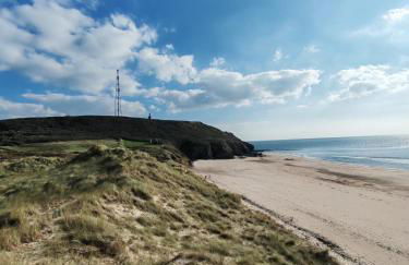 Les Sternes - Foto 46