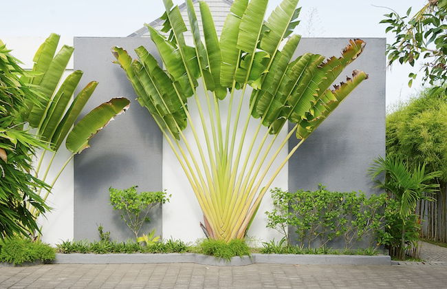 Villa CinCin - Foto 57