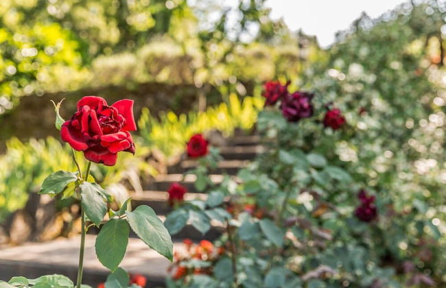 Verdidea - TORRE MONTERCHI - Foto 40