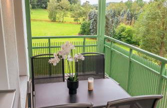 Domizil am Gohrisch - Foto 6