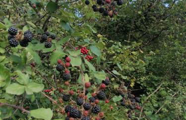 Il Borgo della Zittola - Foto 55