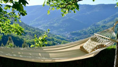 Solar da Castanha - Forest House - Foto 4