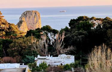 Attico Capri - Photo 38