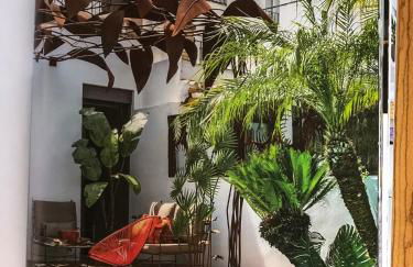 la casa de las pergolas - Foto 16