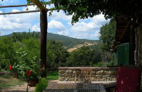 Olivo at Pietraie a cottage with many flowers in the Valley - Foto 18