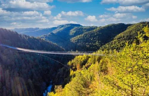 GITE BAS-EN-BASSET, HAUTE-LOIRE, MAISON et JARDIN ATYPIQUE PLEINE NATURE - Foto 33