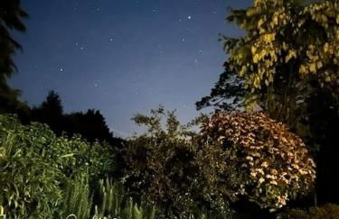 Linden Suite - Foto 48