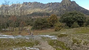 La Consentida - Foto 5