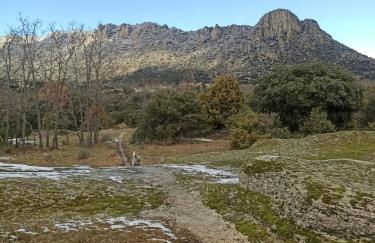 La Consentida - Foto 5