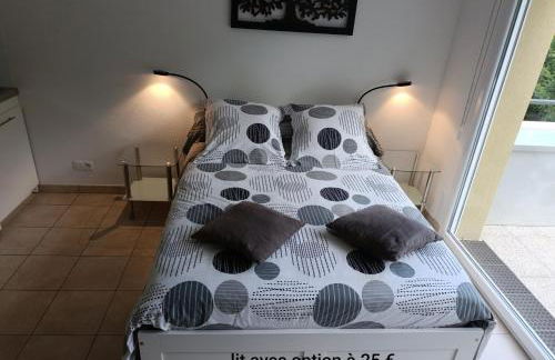 Locations Vacances Obernai Studio - Foto 32