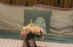 Sitio Lar da Terra - Foto 61