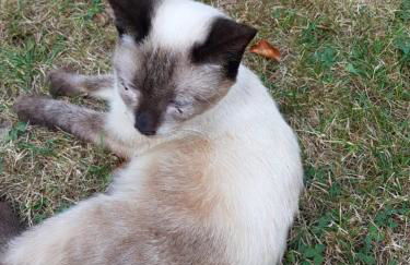 Ferienhof Löw - Photo 12