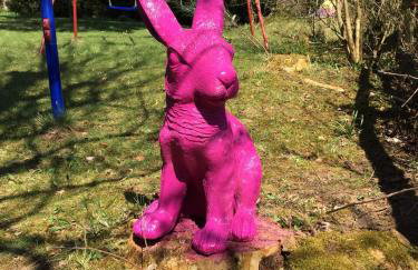 Eifelwolke - Foto 20