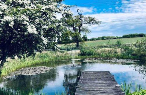 Luxury barn conversion near Southwold - Foto 14
