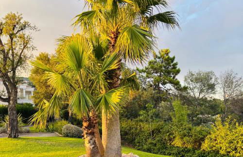 Riviera Home - Foto 23