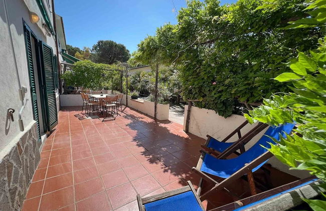 Azienda Agricola Sapereta - Foto 5