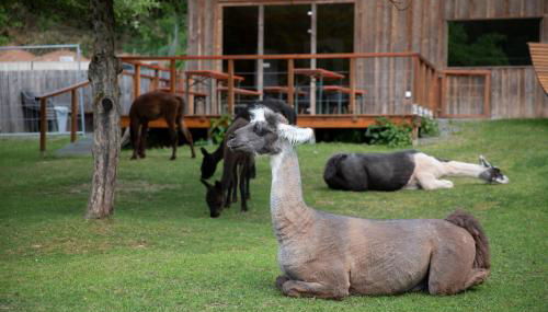 Pirker Anden Chalet - Foto 2