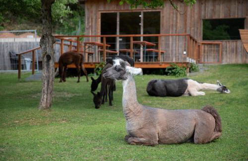 Pirker Anden Chalet - Foto 2