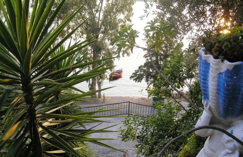 Violetta Studios & Apartments - Foto 21