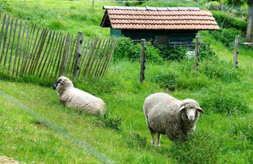 Hofgut Uhenfels - Photo 16