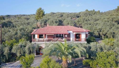 Olive Grove House - Foto 2, Garden view