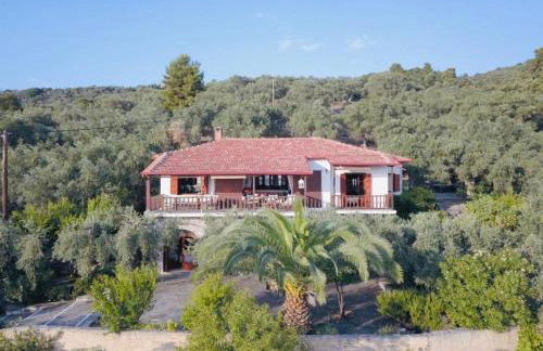 Olive Grove House - Foto 2