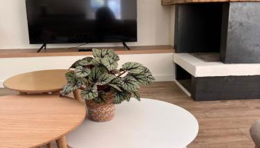 Appart'Alencon - Foto 5