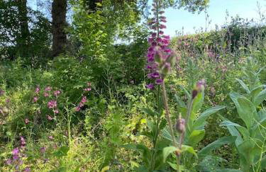 The Hereford Hut, Charming 1 bedroom Shepherds Hut - Foto 13
