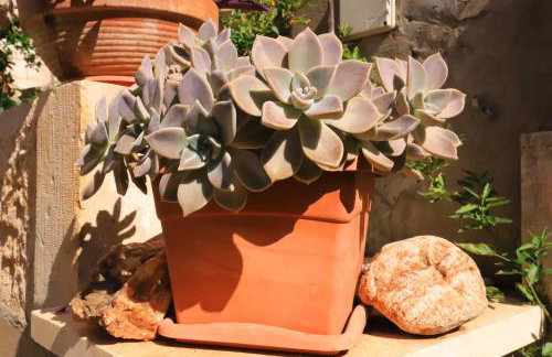 Apartments Ranko - Foto 53