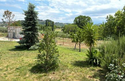 Casa Vacanze Cerreto 2 - Foto 6