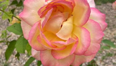 Chez Marie et Fabrice - Foto 5