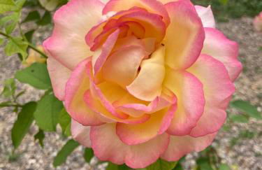 Chez Marie et Fabrice - Foto 5