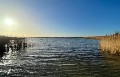 Fischerhus37 FeW Jasmund - Foto 16