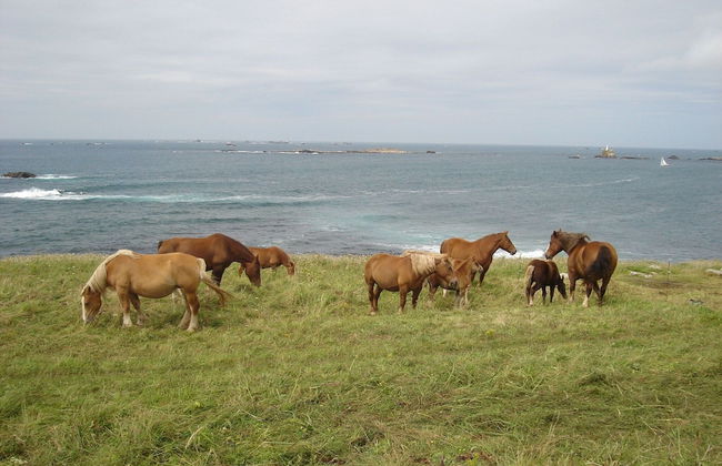 Semi-detached House With sea Views, Porspoder - Foto 15