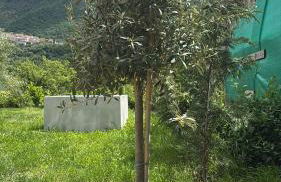 Alla Posta Family House - Foto 30