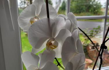 Gulfhof Anelis - Foto 26