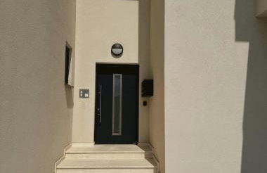 Palm Blues - Photo 4