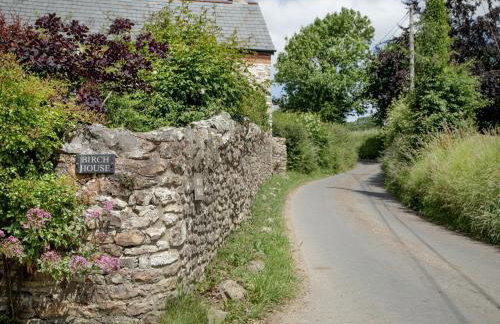 Birch House Studio - Foto 32