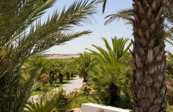 Herdade dos Grous - Foto 41