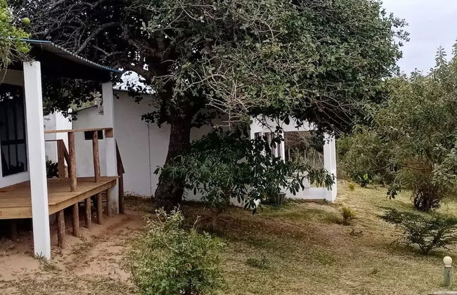 Restaurante Calor Tropical - Photo 18