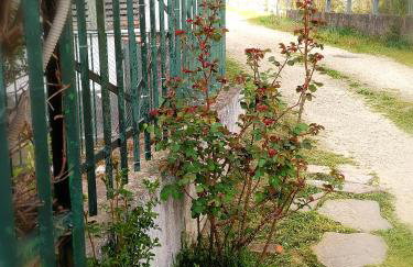 Casa di Bimba - Foto 24