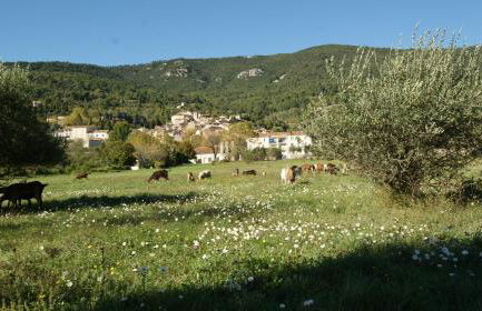 La Bastide des Cairns - Foto 9