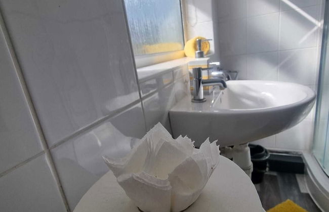 Windsor Apartments - Foto 12