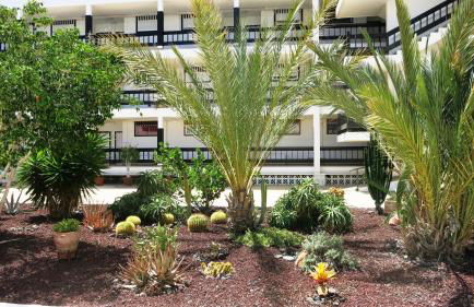 100 meters from the ocean - Foto 23