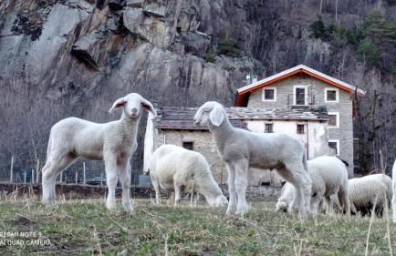 Casa Barbóla - Photo 67