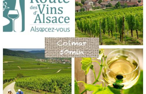 Le Hygge Chalet Gérardmer-Spa - Foto 60