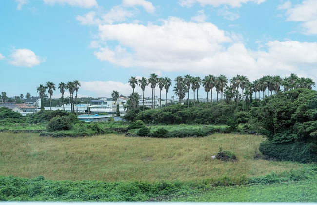 Unicorn Pension - Foto 30